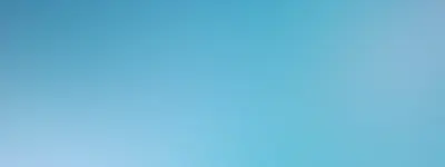 Website service visual